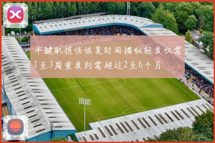 半腱肌损伤恢复时间揭秘轻度仅需1至3周重度则需超过2至6个月
