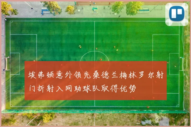 埃弗顿意外领先桑德兰梅林罗尔射门折射入网助球队取得优势
